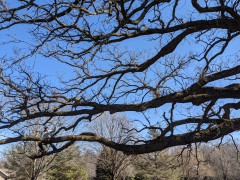 PXL_20210312_170645387